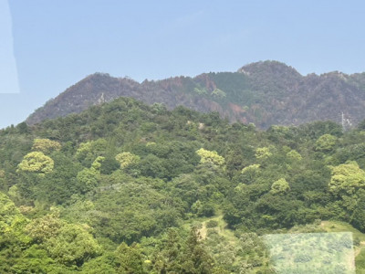 AD99E8E9-E30A-4515-AC01-304B97AD2458