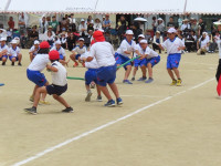 IMG_3129