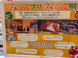 自主学習_西田　陽子_11月5日　東京イオン　みかん魚イベント (8)